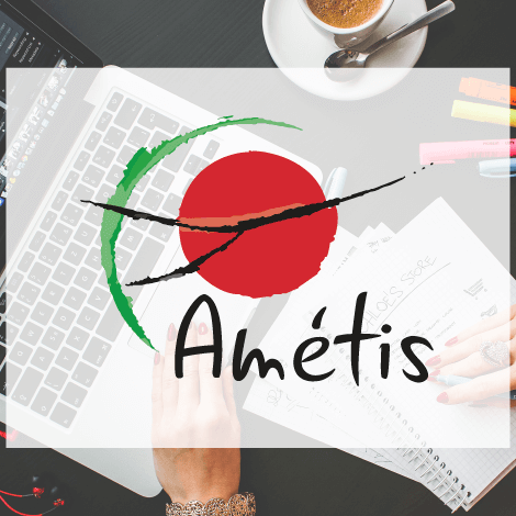 Image de couverture Amétis