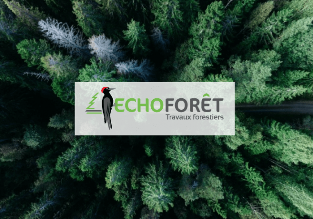 Visu_miniature_315x220px_banniere_echoforet-01