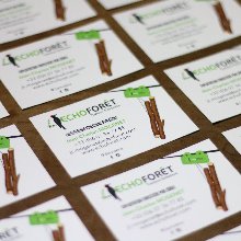 Visu_miniature_315x220px_cartedevisite_echoforet-01