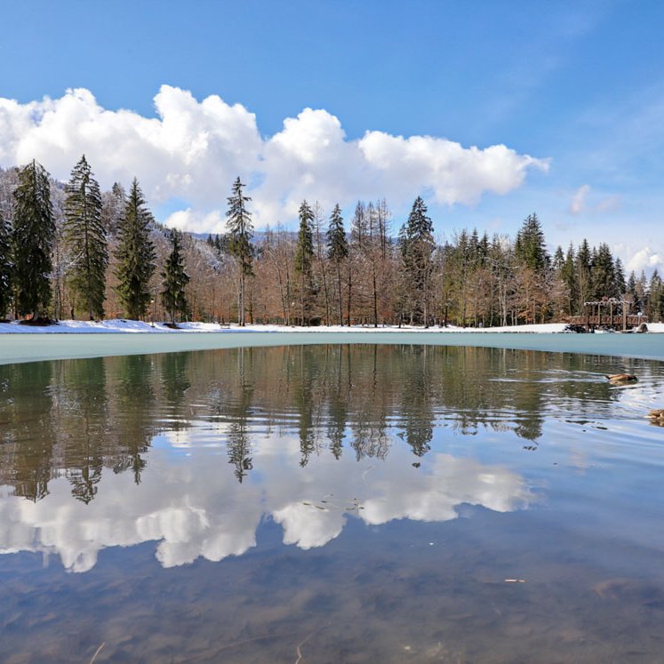 Photo Grand-Massif hiver 2019 2020 53