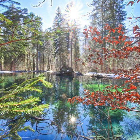 Photo Grand-Massif hiver 2019 2020 21