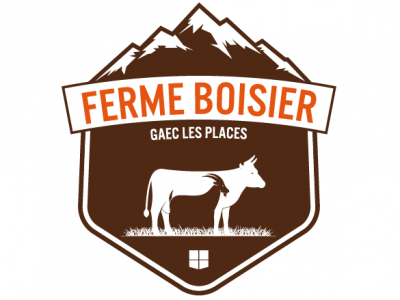 Logo_reference_BouilleurID_Plan de travail 1